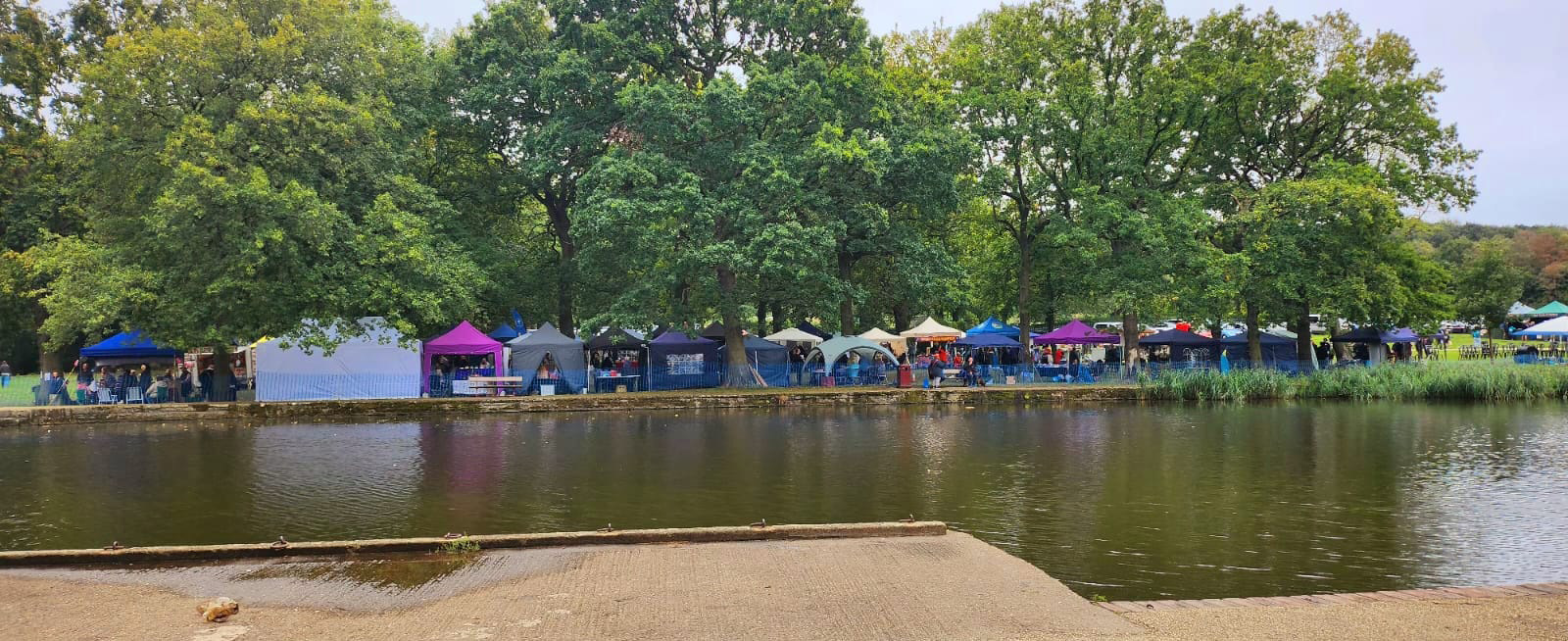 A view of the Gazebos at the 2025 show from across the lake